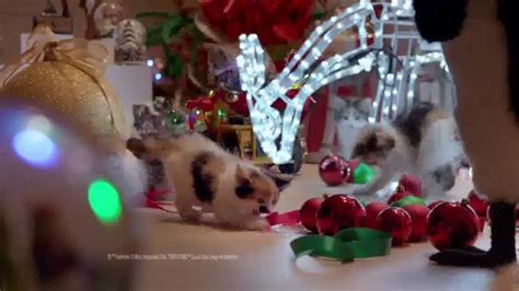 Temptations Cat Treats TV Spot, 'Keep Them Busy'