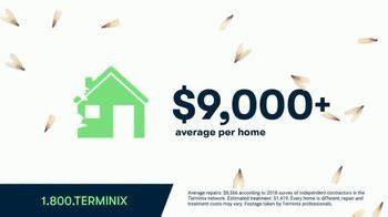 Terminix TV Spot, 'Termite Swarms'