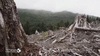 The Nature Conservancy TV Spot, 'Forest: Just Like You'