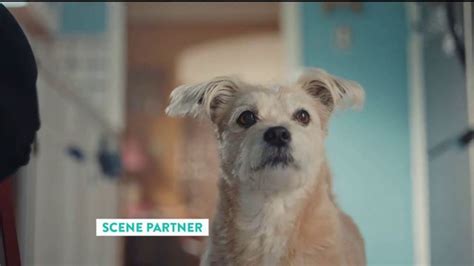 The Shelter Pet Project TV Spot, 'Adopt Pure Love: Logan Ryan' Song by Clarence Murray featuring Logan Ryan