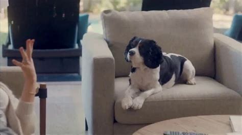 The Shelter Pet Project TV commercial - Adopt Pure Love: Olivia Munn