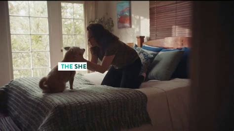 The Shelter Pet Project TV Spot, 'Adopt Pure Love: Rachel Bloom PSA' created for Pets and People Together