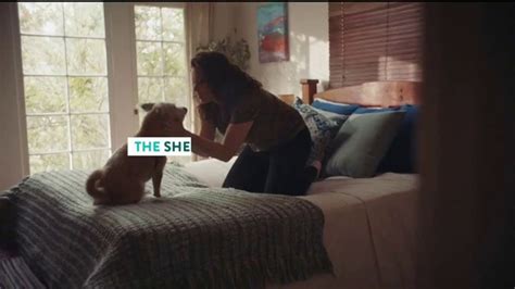 The Shelter Pet Project TV commercial - Adopt Pure Love: Rachel Bloom PSA