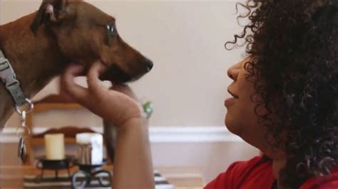 The Shelter Pet Project TV Spot, 'Renee and Turtle' created for Pets and People Together