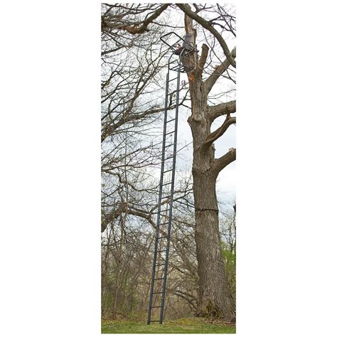 The Sportsman's Guide Guide Gear 25' Deluxe Double Rail Ladder Tree Stand