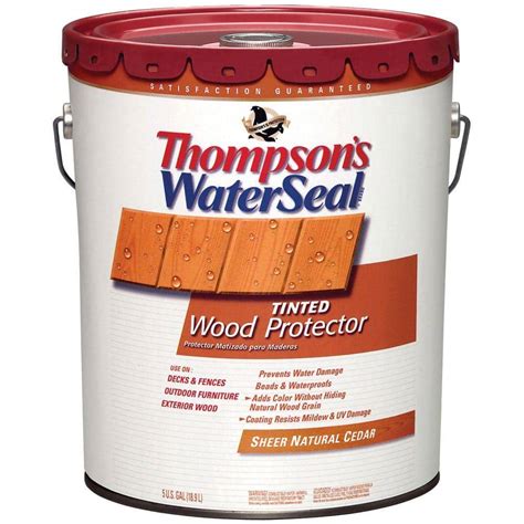 Thompson's Water Seal Advanced Tinted Wood Protector