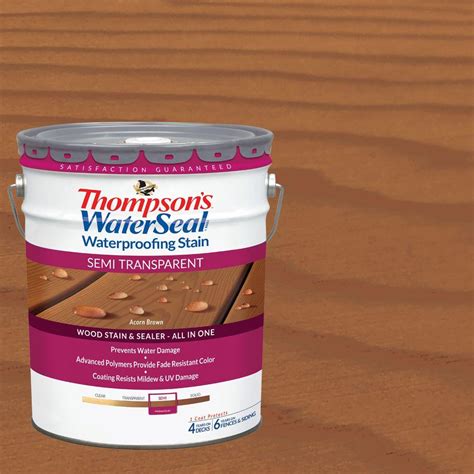 Thompson's Water Seal Deck and House Semi-Transparent Latex Waterproofing Stain