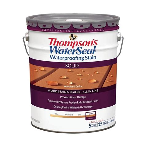 Thompson's Water Seal Solid Wood Stain and Sealer All-in-One tv commercials