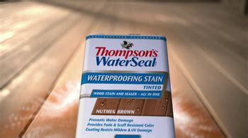 Thompson's Water Seal TV Spot, 'Superior Protection' created for Thompson's Water Seal