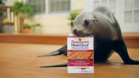 Thompson's Water Seal Waterproofing Stain TV Spot, 'Seal' created for Thompson's Water Seal