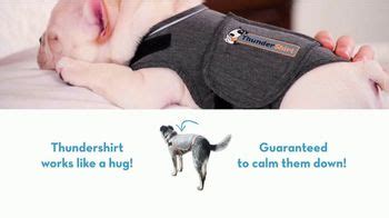 ThunderShirt TV commercial - Love Them Like a Hug