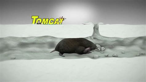 Tomcat TV commercial - Moles