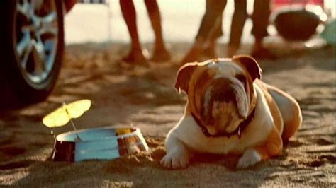 Toyota RAV4 TV Spot, 'Dog's Great Day' Featuring LL Cool J featuring David L. Murphy