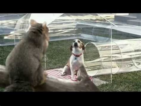 Trifexis TV Spot, 'Dog Tube'
