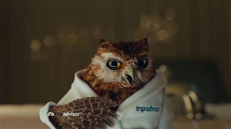 TripAdvisor TV Spot, 'This Bird's Words' created for TripAdvisor