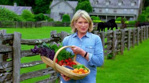 Triscuit TV Commercial , 'Summer Snackoff' Featuring Martha Stewart