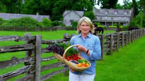 Triscuit TV Commercial , 'Summer Snackoff' Featuring Martha Stewart