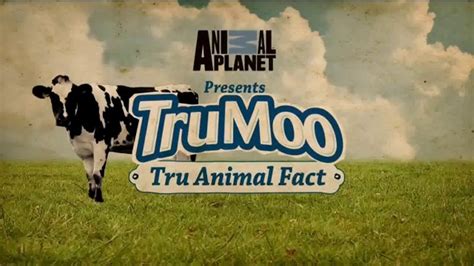 TruMoo Chocolate Milk TV commercial - Animal Planet: Tru Animal Fact