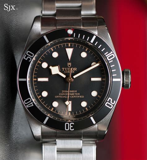 Tudor Heritage Black Bay logo