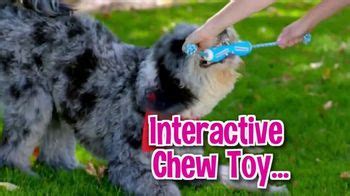 Tug N Brush TV Spot, 'Brush Your Dog's Teeth'