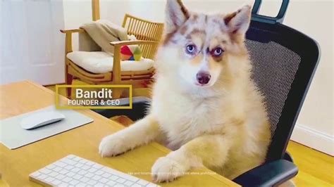 Underdog Fantasy TV Spot, 'Bandit: Tell Your Human' created for Underdog Fantasy