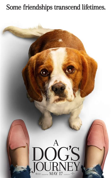 Universal Pictures A Dog's Journey logo