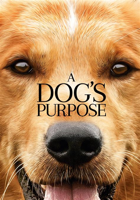 Universal Pictures A Dog's Purpose logo