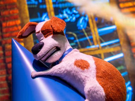 Universal Studios Hollywood TV Spot, 'The Secret Life of Pets: Off the Leash - Mirror'