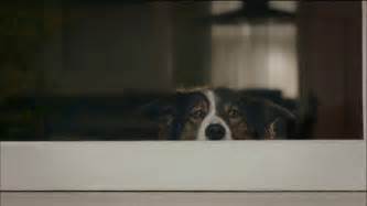 Verizon TV Spot, 'Dog' featuring Dave Pettitt