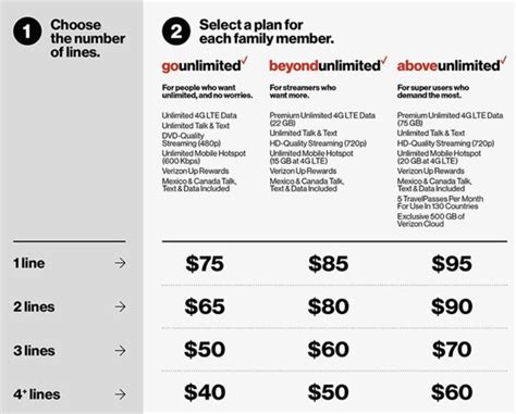 Verizon Two Lines With 10 GB of Data logo