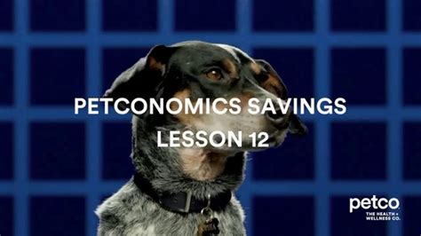 Vital Care by PETCO TV Spot, 'Petconomics Savings Lesson 12' created for PETCO