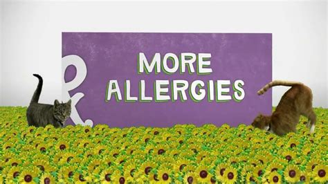 Walgreens TV commercial - Corner of Allergies and More Allergies