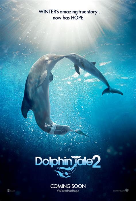 Warner Bros. Dolphin Tale 2 logo