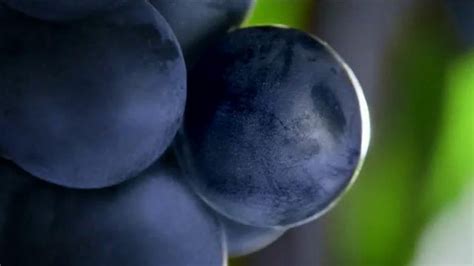 Welch's TV Spot, 'Health Benefits' featuring Vanessa Marshall