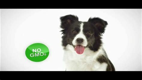 Wellness Pet Food TV commercial - GMO-Free