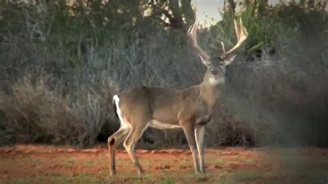 Whitetail Institute of North America TV Spot, 'Generations'