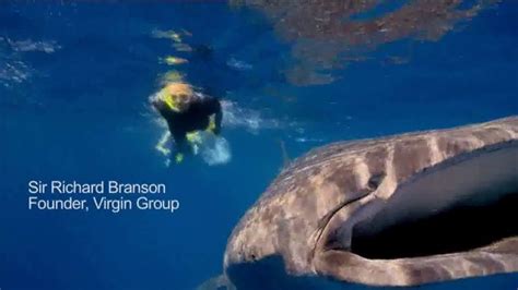 WildAid TV Spot, 'Whale Sharks' Featuring Sir Richard Branson