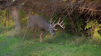 Wildlife Research Center Golden Scrape TV Spot