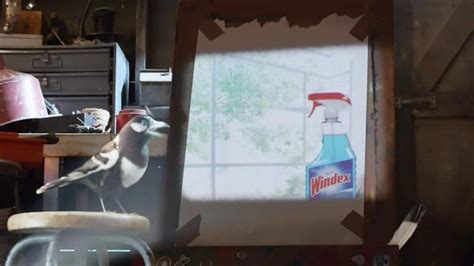 Windex TV Spot, 'Smudge Stick'