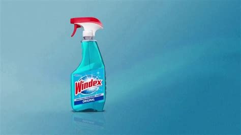 Windex TV Spot, 'The Story of Lucy: Just the Beginning'