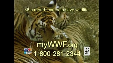 World Wildlife Fund TV Commercial 'Poachers' created for World Wildlife Fund