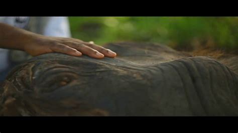 World Wildlife Fund TV commercial - Illegal Trade: Elephant Calf