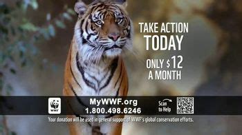 World Wildlife Fund TV commercial - Magnificent Tiger