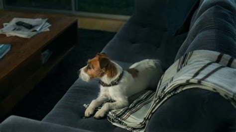 Xfinity My Account App TV Spot, 'Max and His Dog'