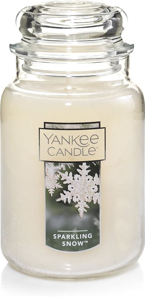 Yankee Candle Large 2-Wick Tumbler Candle: Sparkling Snow tv commercials