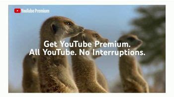 YouTube Premium TV Spot, 'Meerkats: One Month Free'
