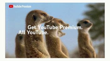 YouTube Premium TV commercial - Meerkats: Three Months Free