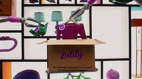 Zulily TV Spot, 'Joy of Shopping: Best Price Promise'